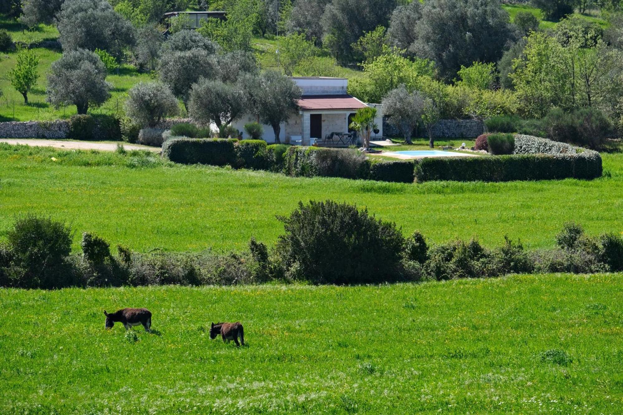 Terra Sessana Ville E Trullo Con Piscina Privata Остуні Екстер'єр фото